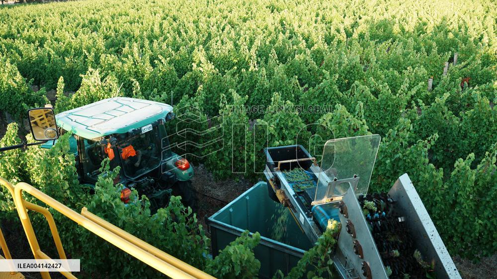 Spring Farming - China