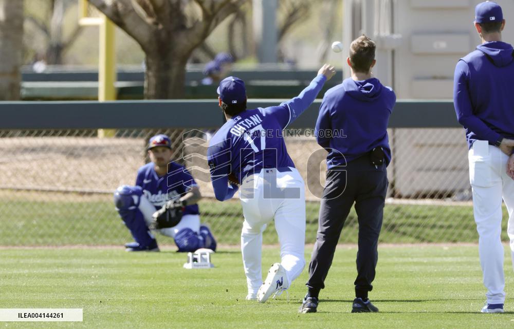 Baseball: MLB spring training