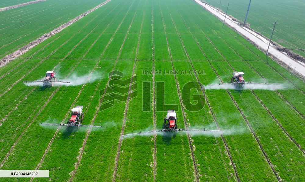 Intelligent Agriculture in Suqian