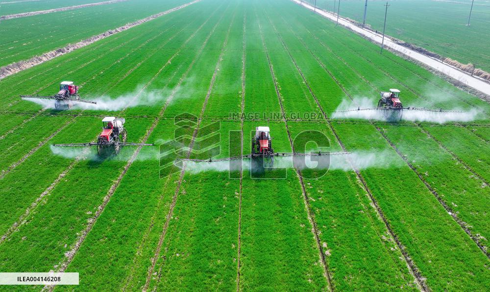 Intelligent Agriculture in Suqian