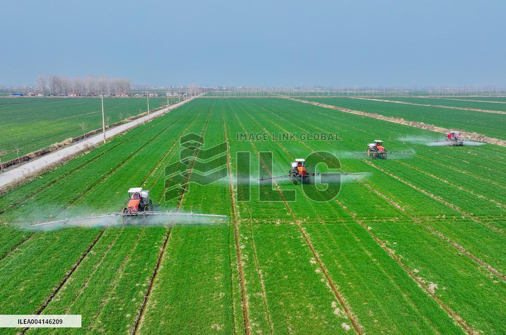 Intelligent Agriculture in Suqian