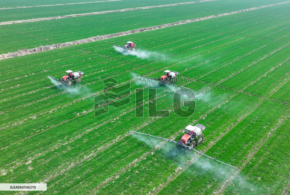 Intelligent Agriculture in Suqian