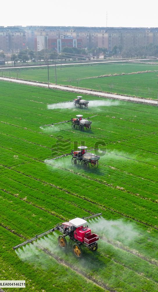 Intelligent Agriculture in Suqian