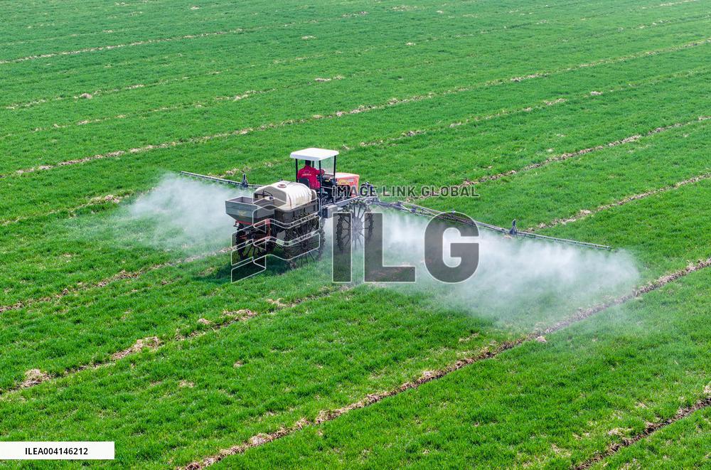 Intelligent Agriculture in Suqian