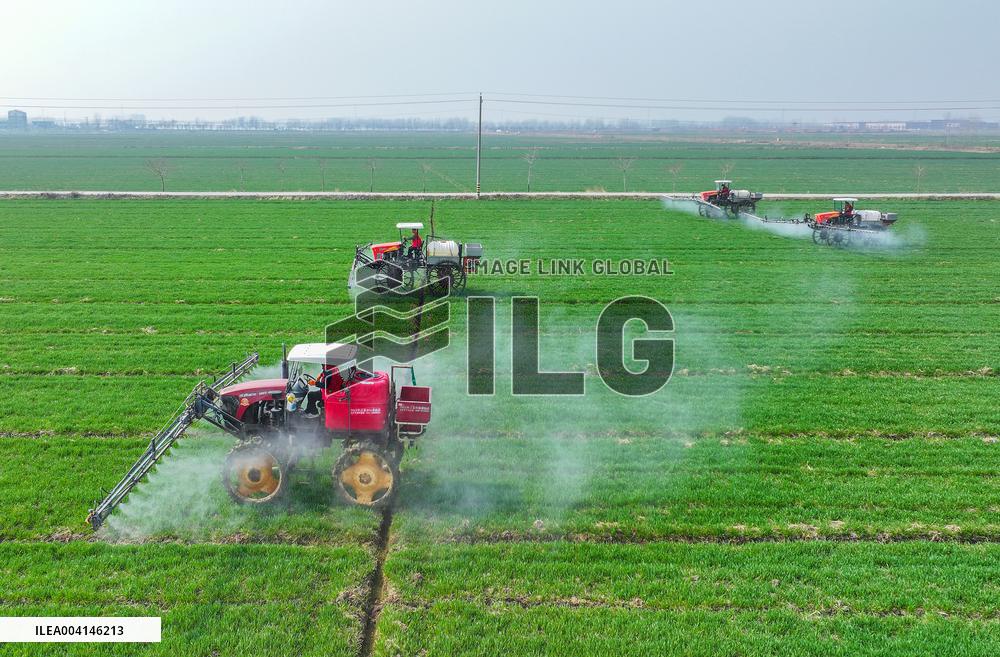 Intelligent Agriculture in Suqian