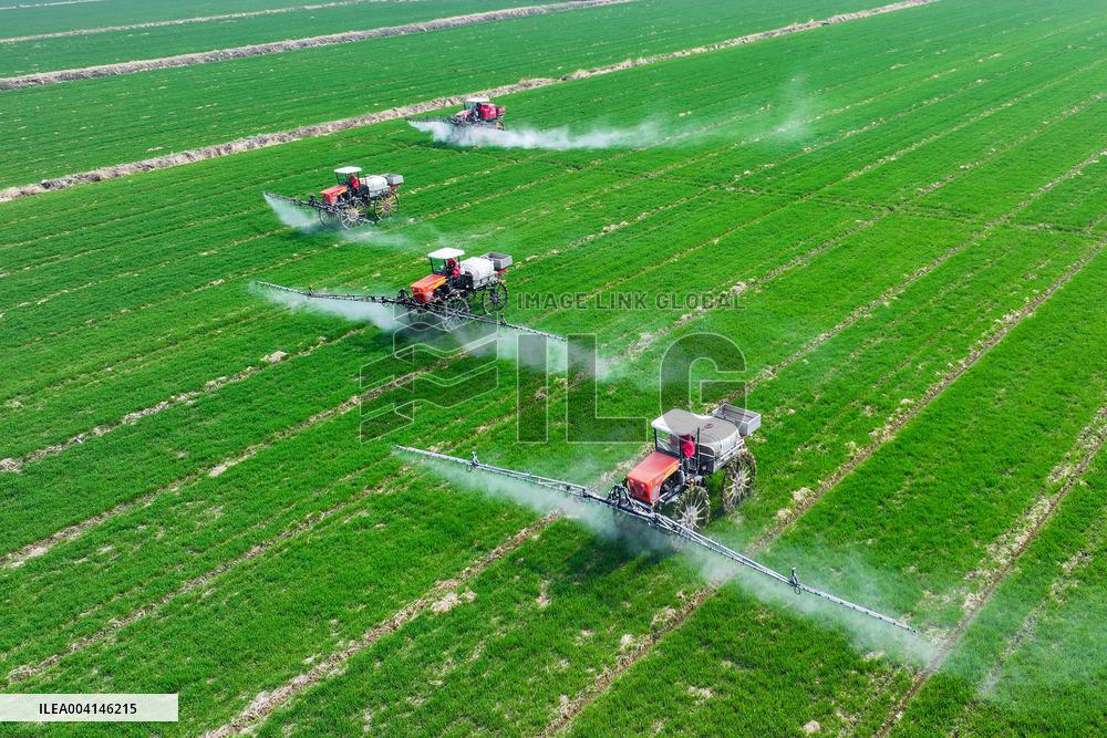 Intelligent Agriculture in Suqian