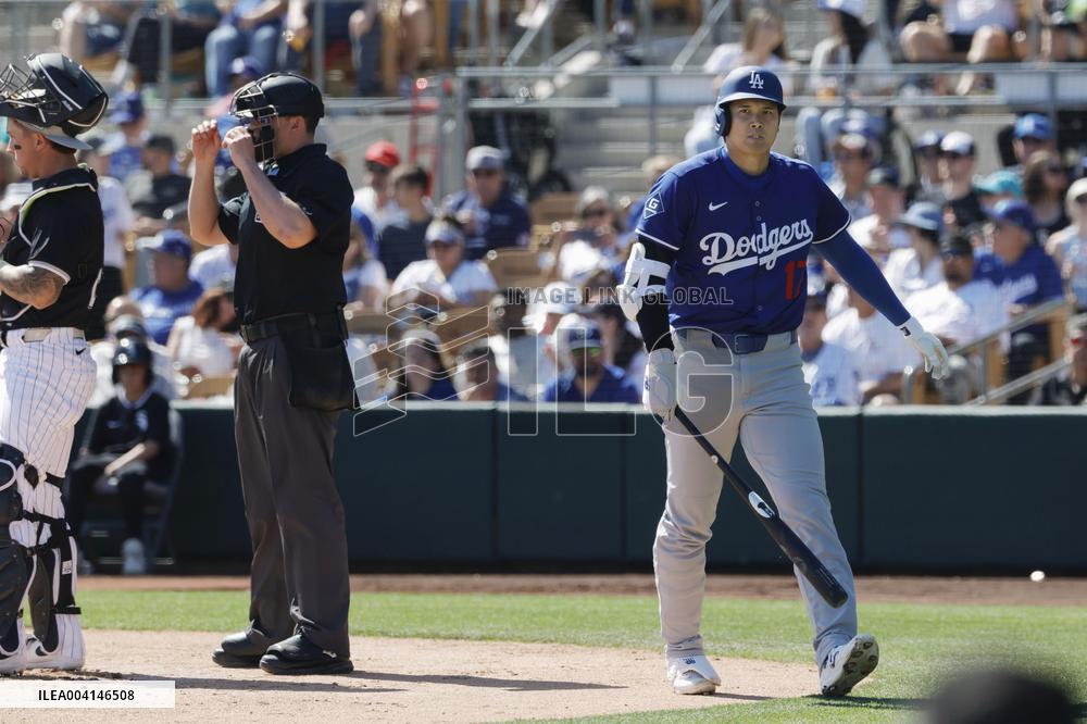 Baseball: MLB spring training