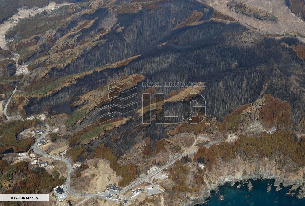 Forest fire in northeastern Japan