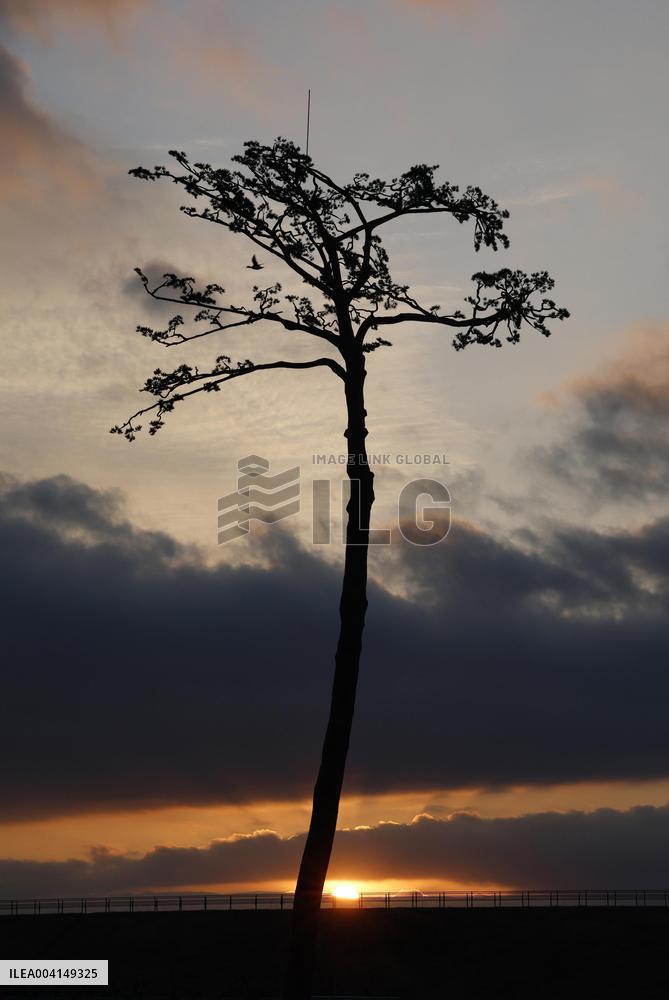 14th anniversary of 2011 Great East Japan Earthquake