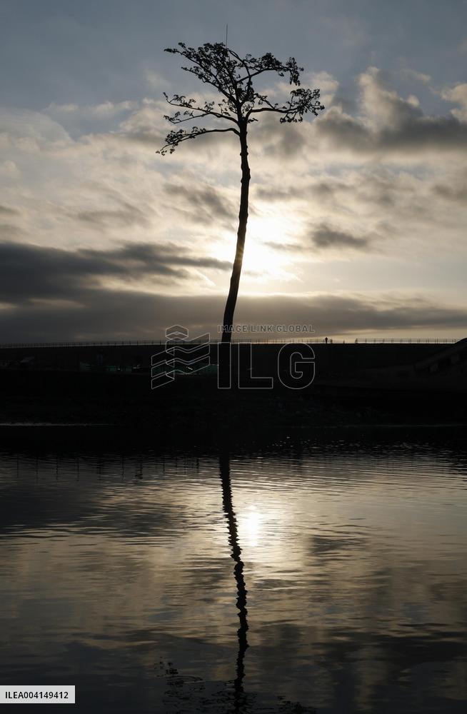 14th anniversary of 2011 Great East Japan Earthquake