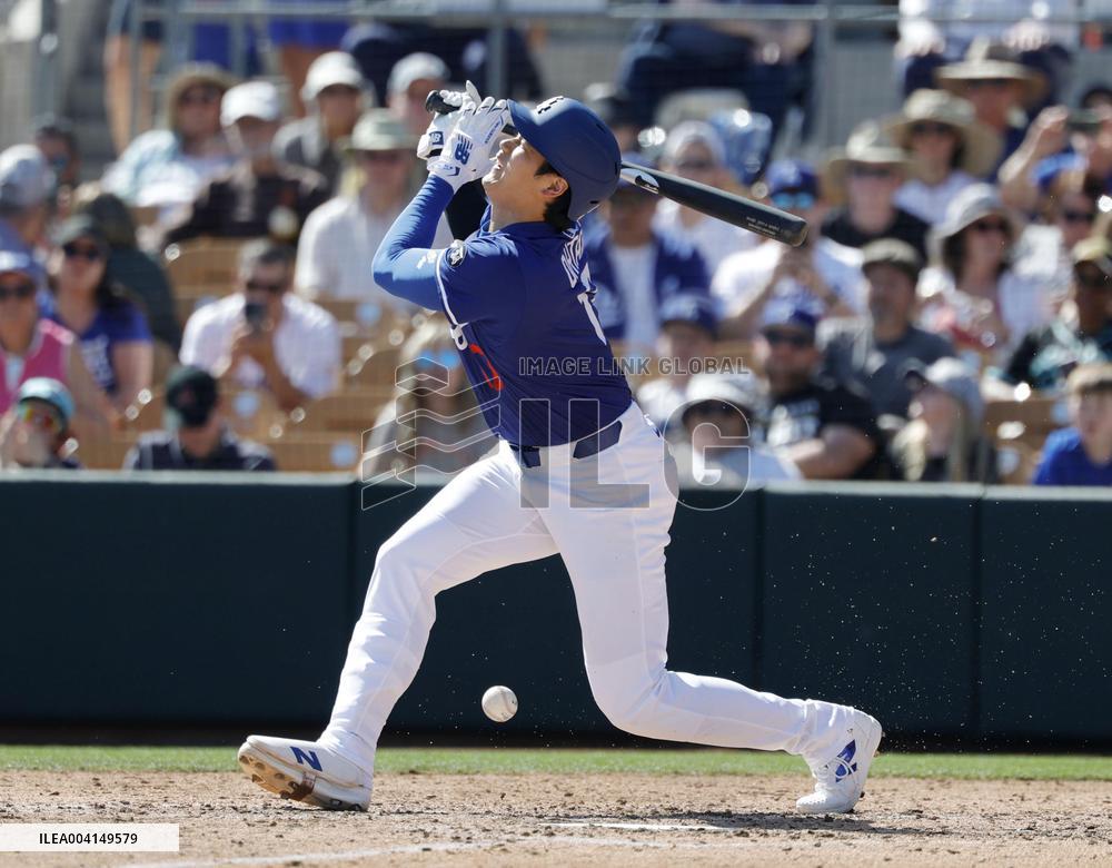 Baseball: MLB spring training