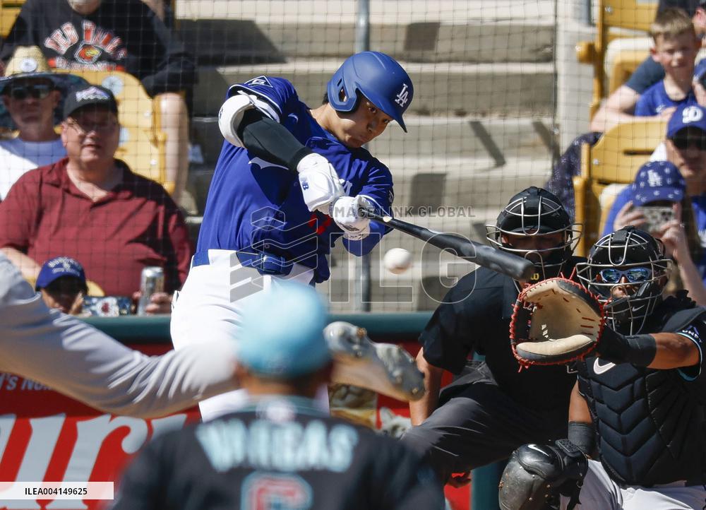 Baseball: MLB spring training