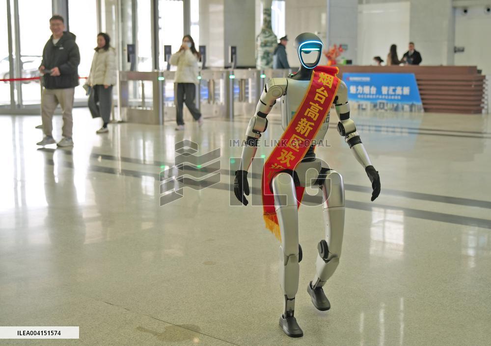 Chinese Humanoid Robot Market