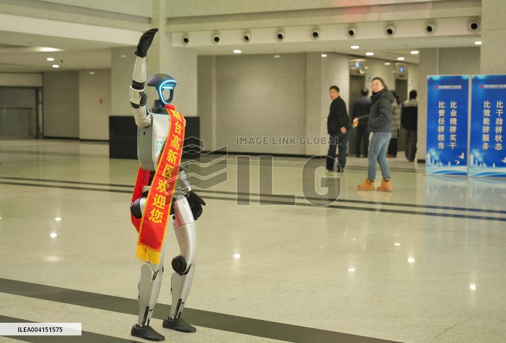 Chinese Humanoid Robot Market