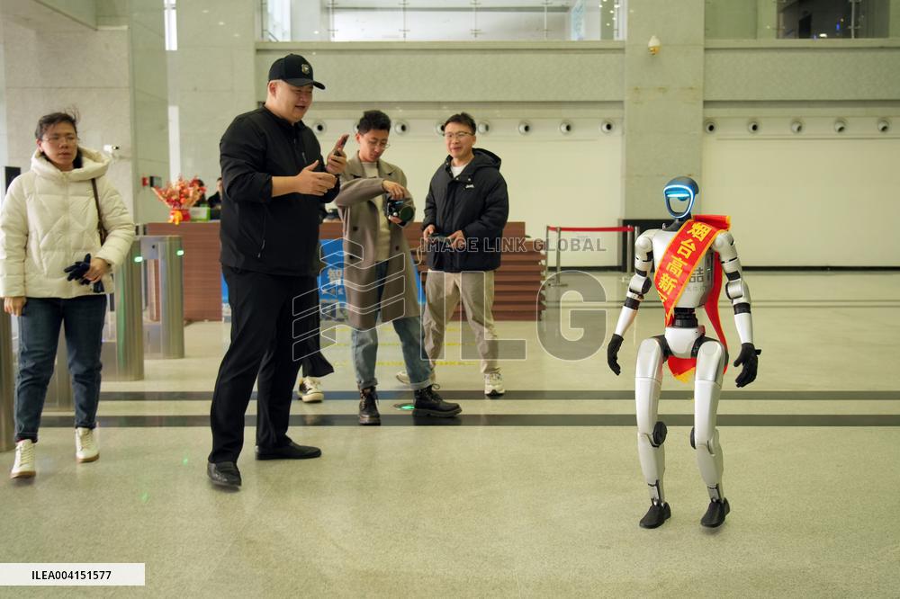 Chinese Humanoid Robot Market