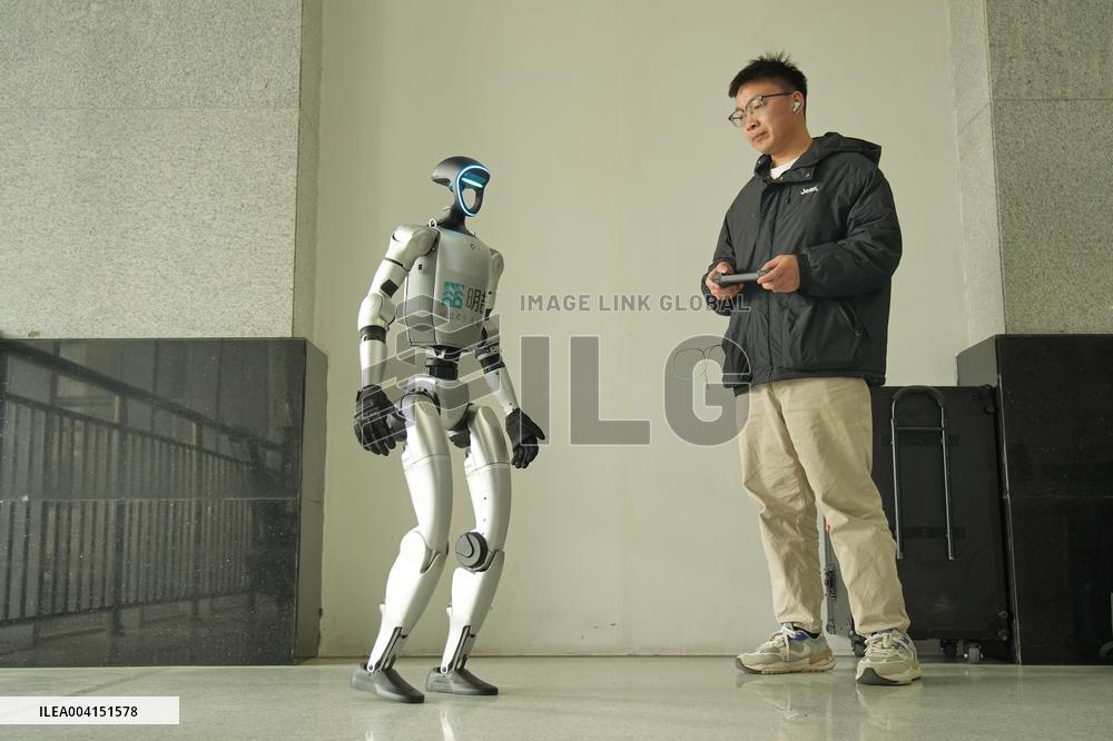 Chinese Humanoid Robot Market