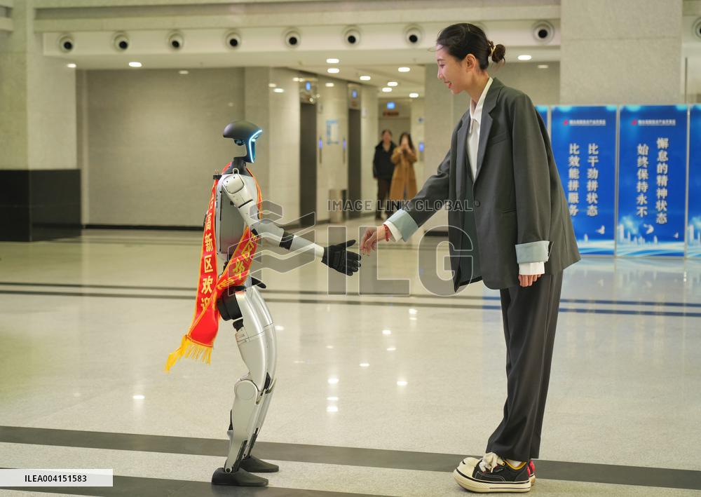 Chinese Humanoid Robot Market