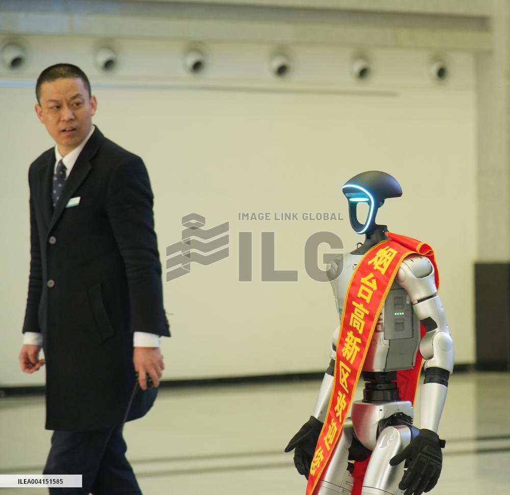 Chinese Humanoid Robot Market