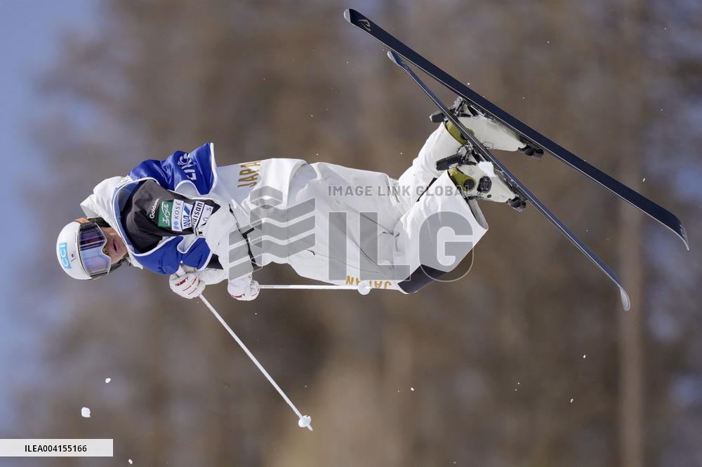 Freestyle skiing: Moguls World Cup