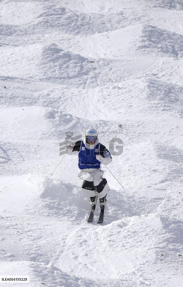 Freestyle skiing: Moguls World Cup