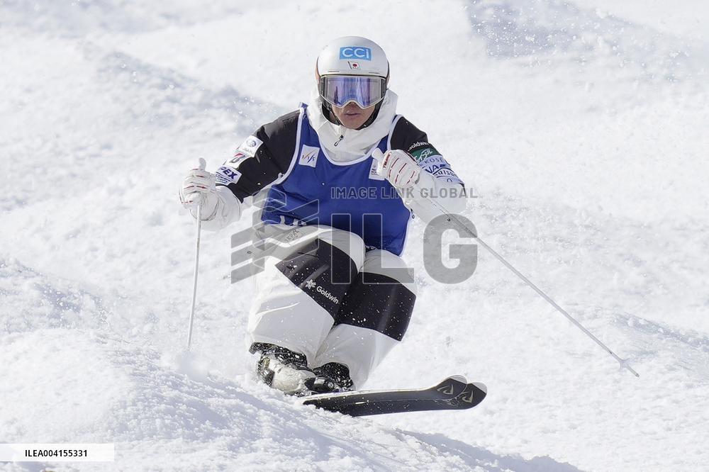 Freestyle skiing: Moguls World Cup