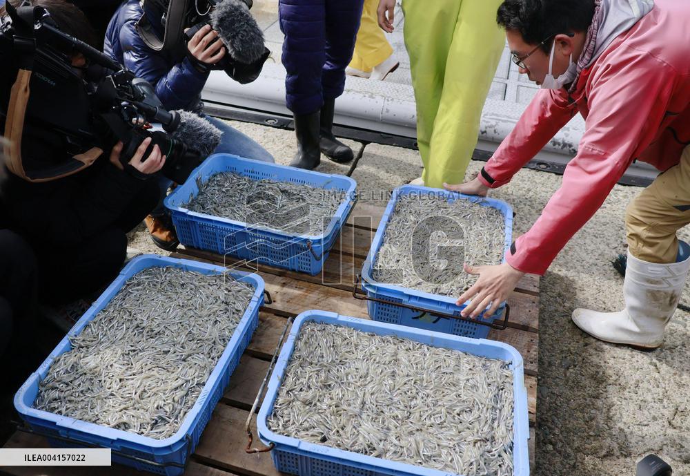 Sand lances landed at western Japan port