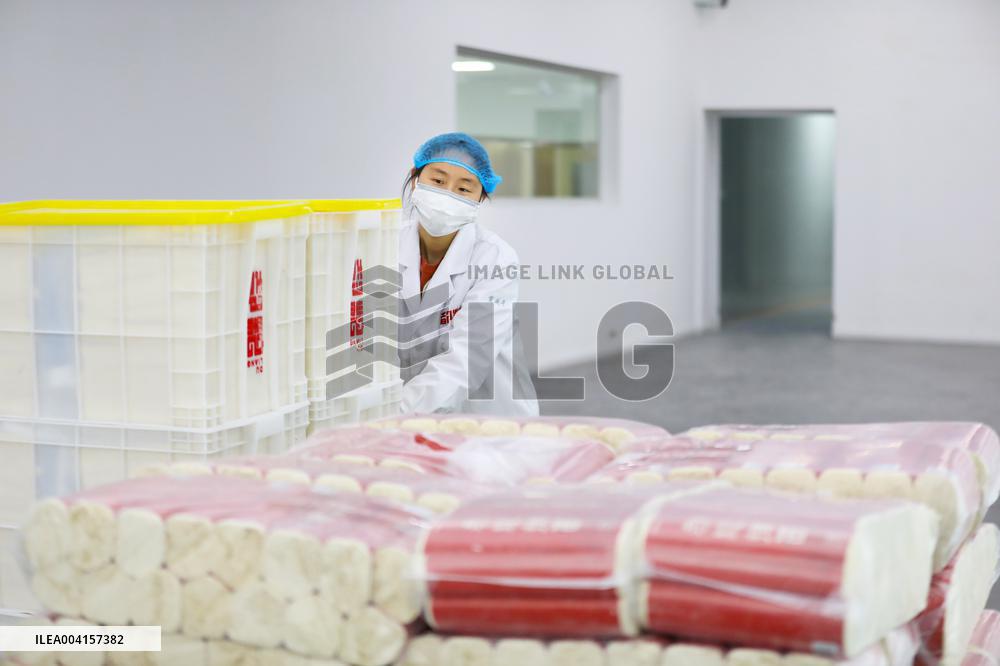 Noodle Export in Chongqing