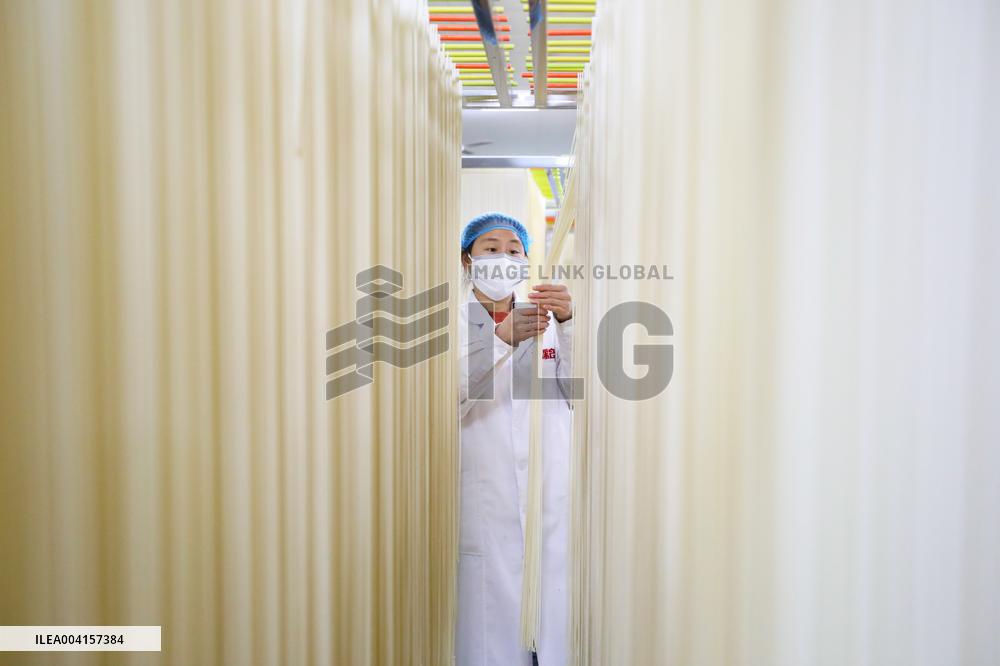 Noodle Export in Chongqing