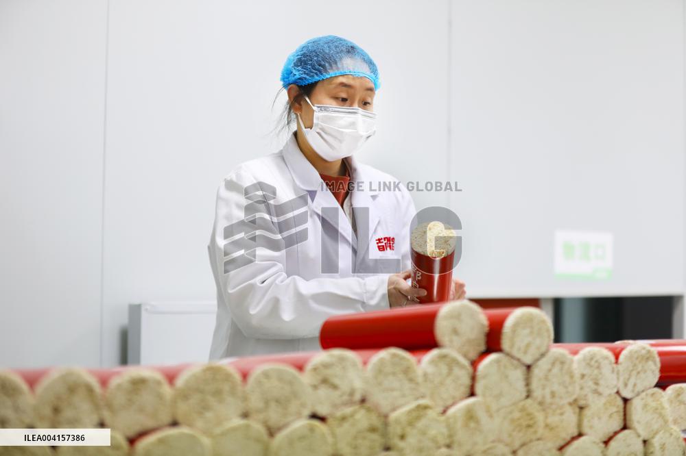 Noodle Export in Chongqing