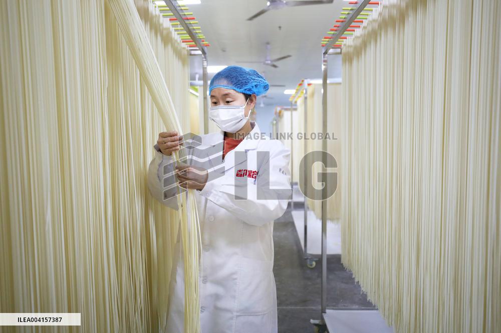 Noodle Export in Chongqing