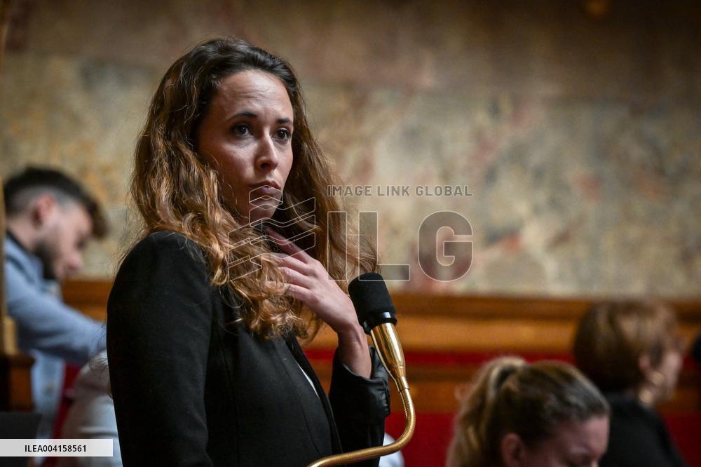 Questions to the government at the National Assembly in Paris FA