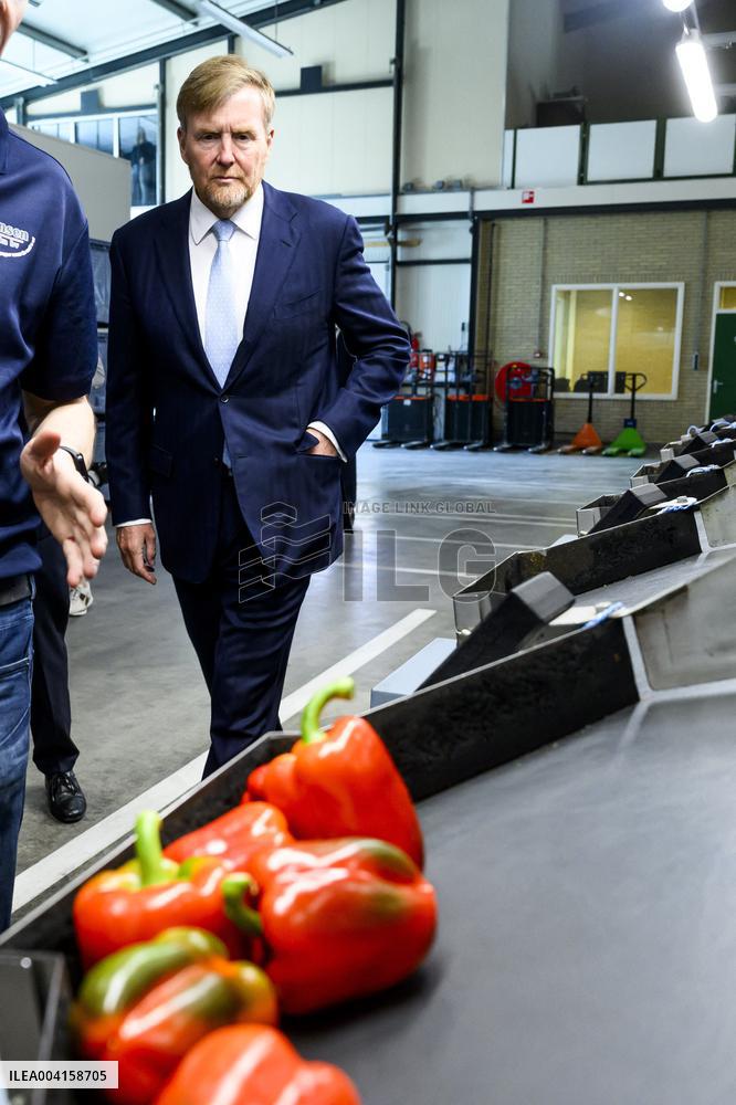 King Willem Alexander Visits Pepper and Tulip Growers - Netherlands