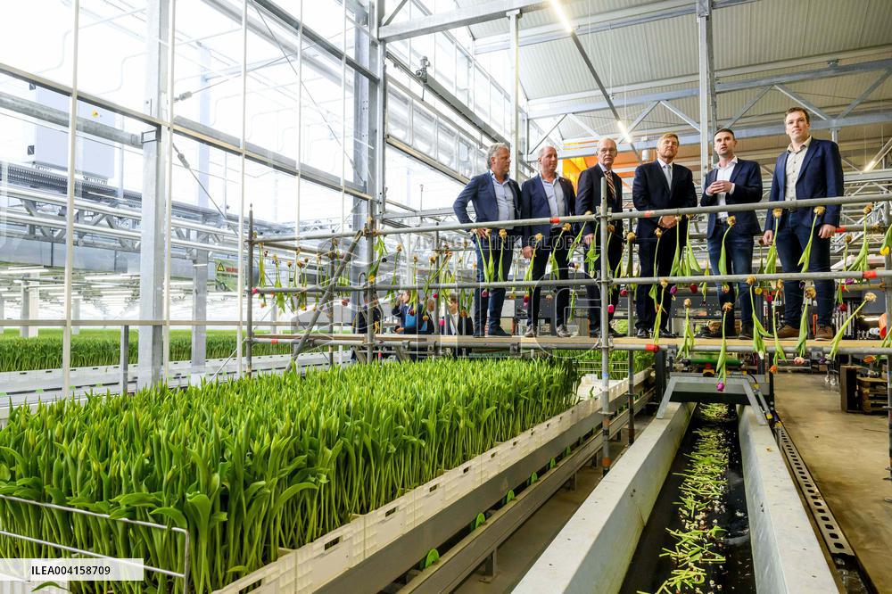 King Willem Alexander Visits Pepper and Tulip Growers - Netherlands