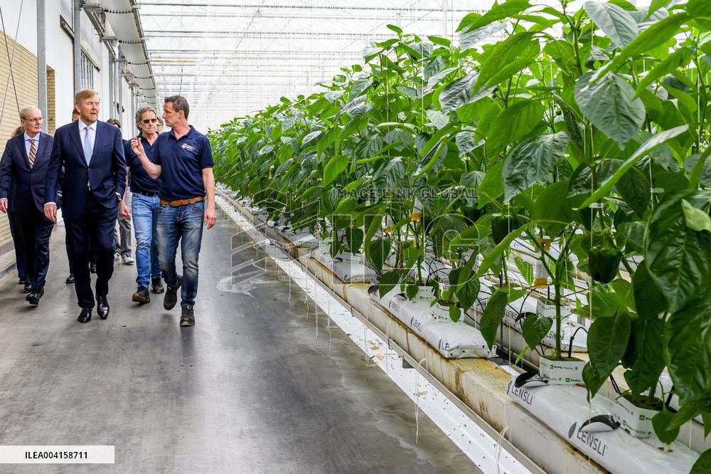 King Willem Alexander Visits Pepper and Tulip Growers - Netherlands