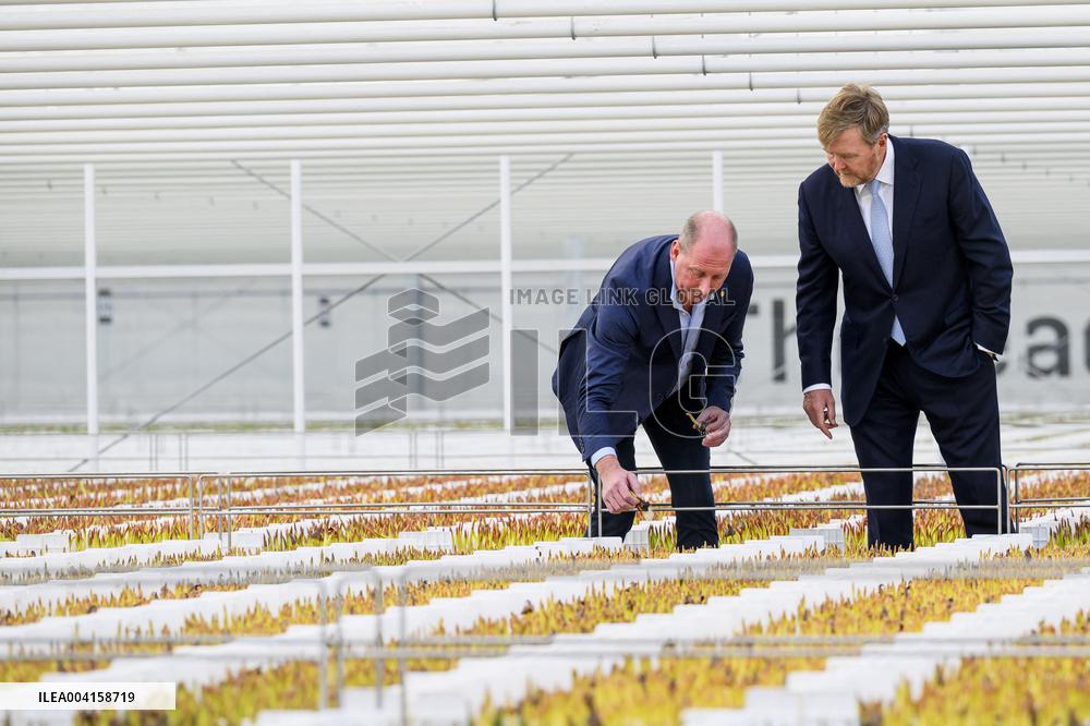 King Willem Alexander Visits Pepper and Tulip Growers - Netherlands