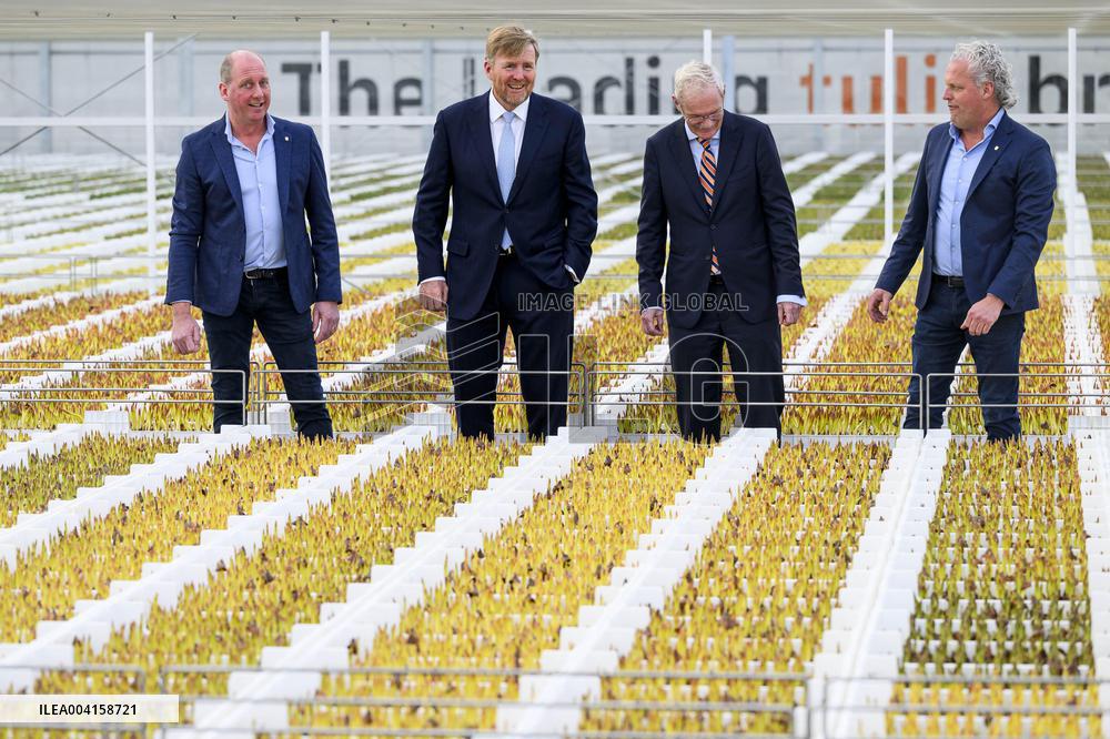 King Willem Alexander Visits Pepper and Tulip Growers - Netherlands