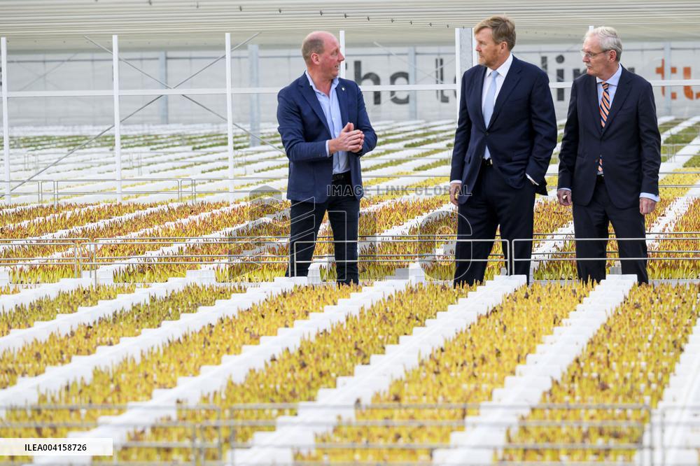 King Willem Alexander Visits Pepper and Tulip Growers - Netherlands