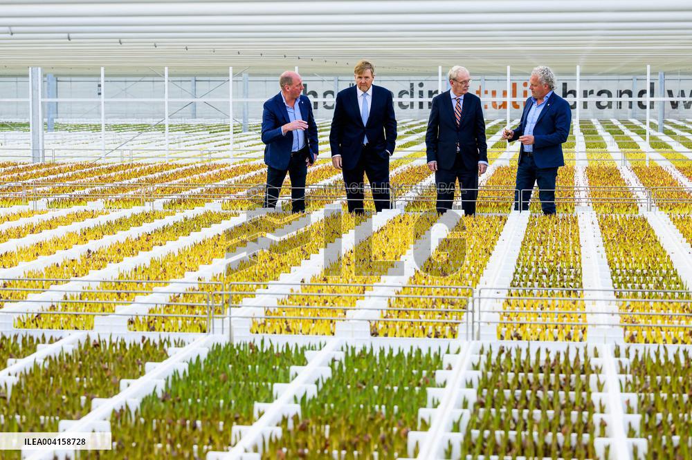 King Willem Alexander Visits Pepper and Tulip Growers - Netherlands