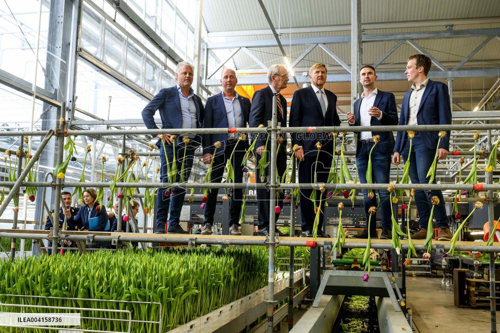 King Willem Alexander Visits Pepper and Tulip Growers - Netherlands