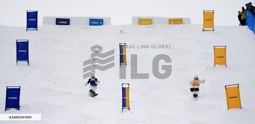 Freestyle skiing: Moguls World Cup