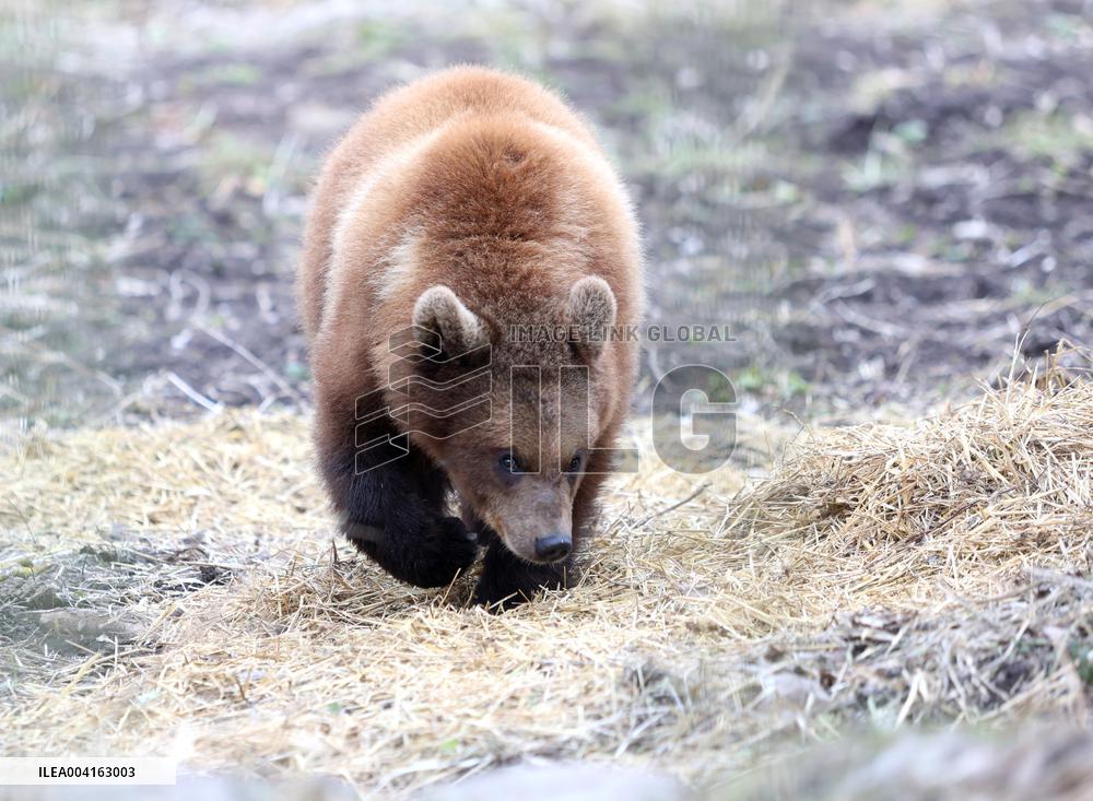 Elistvere Animal Park