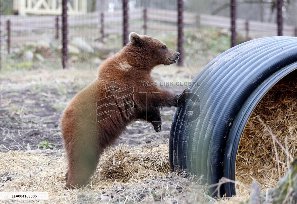 Elistvere Animal Park