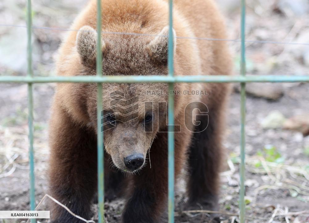 Elistvere Animal Park