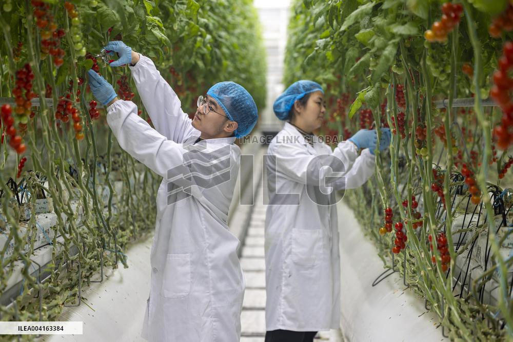 Qinhu Smart Agricultural Park Digital Factory in Taizhou,