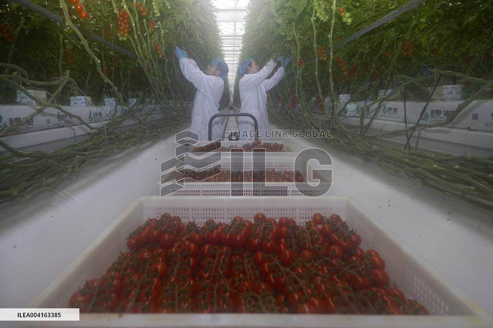 Qinhu Smart Agricultural Park Digital Factory in Taizhou,