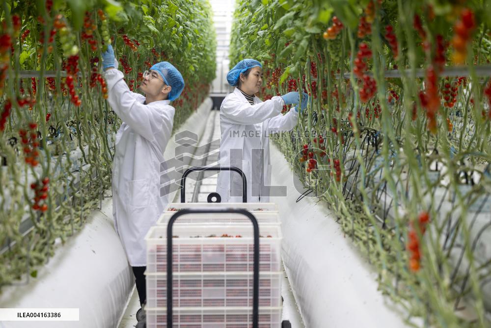 Qinhu Smart Agricultural Park Digital Factory in Taizhou,