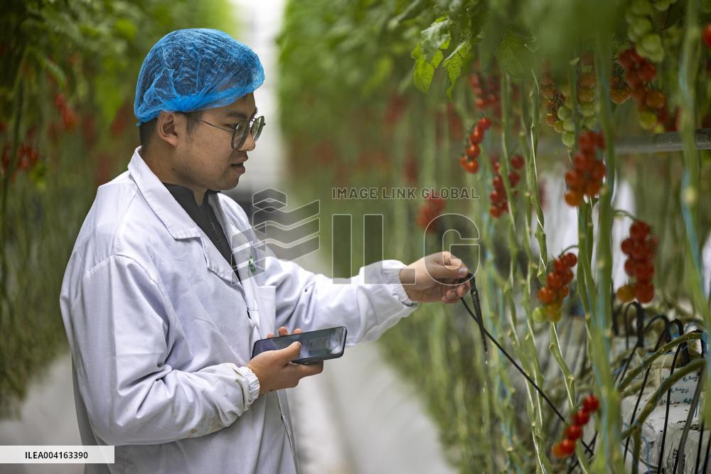 Qinhu Smart Agricultural Park Digital Factory in Taizhou,
