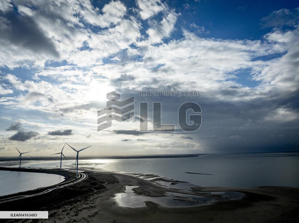 Windmills In Nature Along The Coastline Sea - Rotterdam