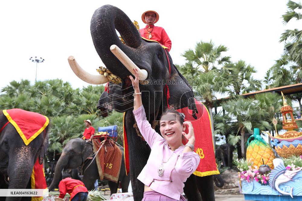 Pattaya National Elephant Day - Thailand