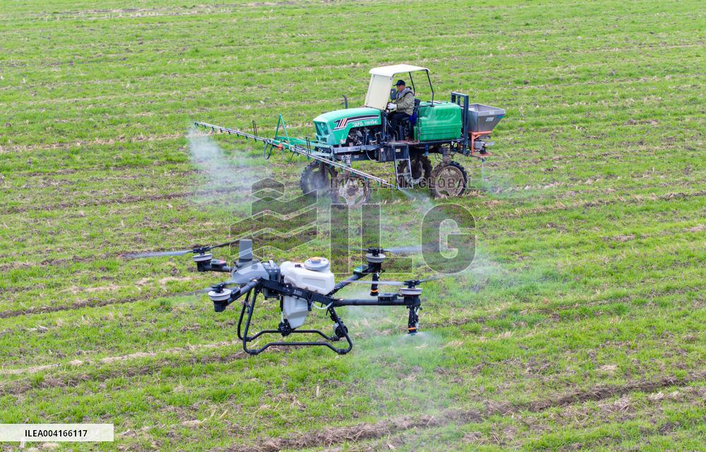 Spring Ploughing in Xinghua